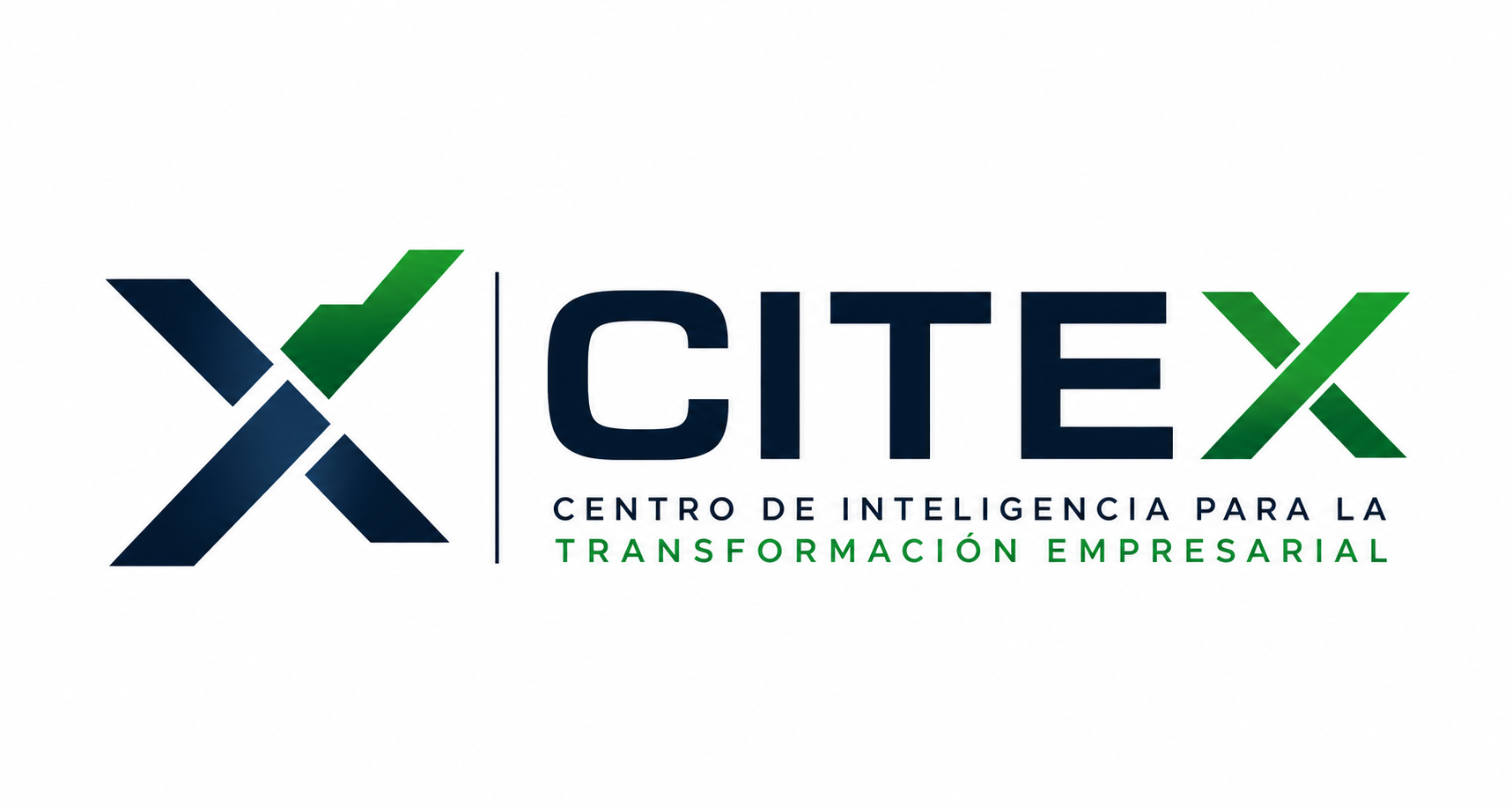 Logo Citex